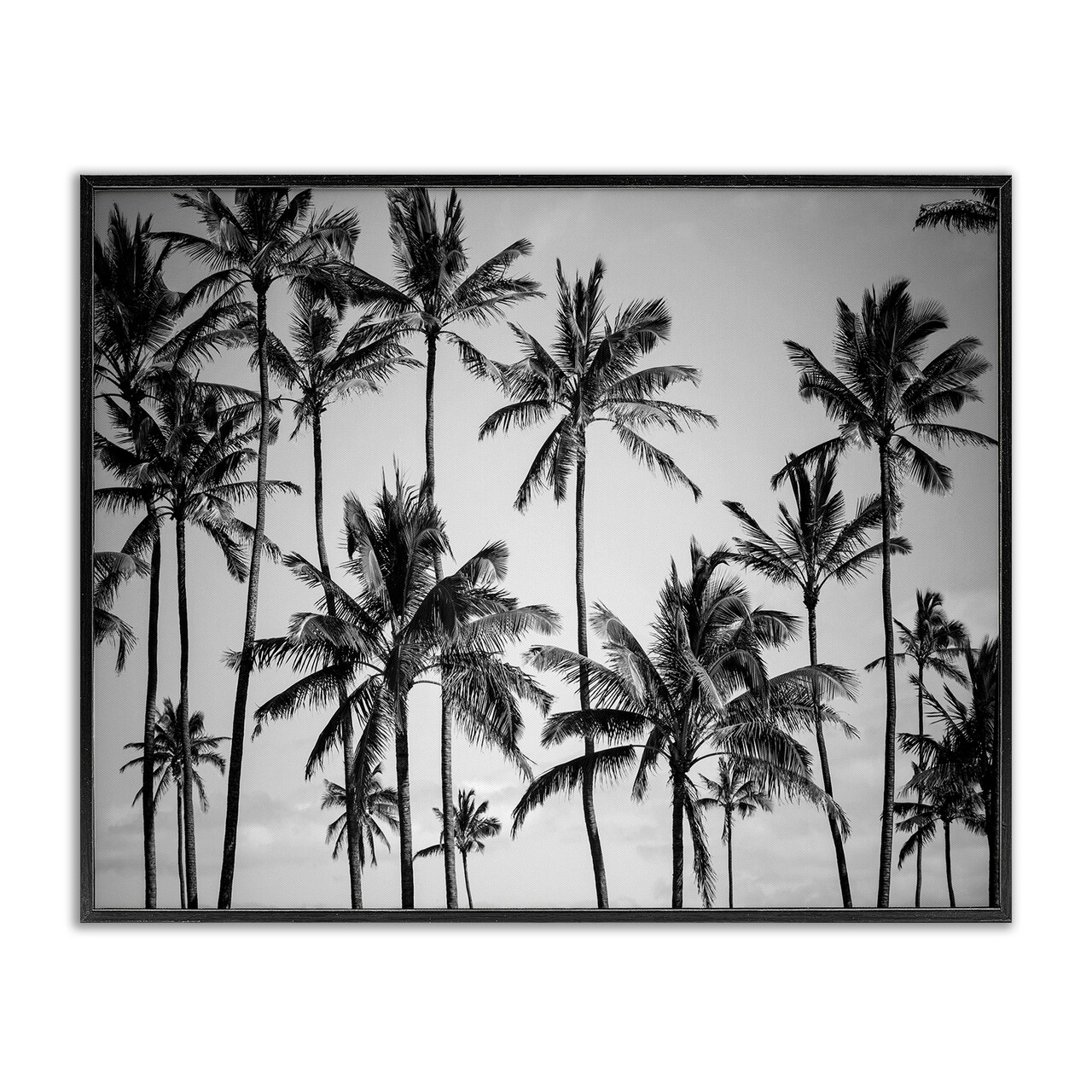 Stupell Industries Black & White Palm Trees Skyline Framed Giclee Art